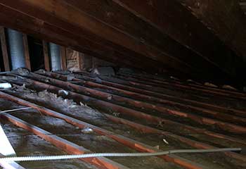 Commercial Rodent Proofing Project | Attic Cleaning San Bruno, CA