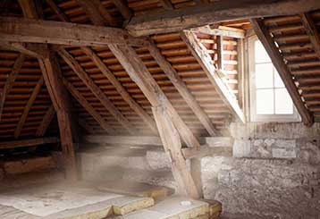 When It’s Time to Hire A Professional to Clean Your Attic  | Attic Cleaning San Bruno, CA