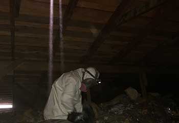 Attic Cleaning in Pacifica | Attic Cleaning San Bruno Attic Cleaning in Pacifica | Attic Cleaning San Bruno