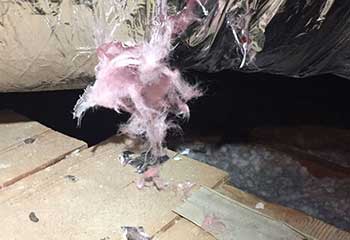 Attic Insulation Replacement in Millbrae | Attic Cleaning San Bruno Attic Insulation Replacement in Millbrae | Attic Cleaning San Bruno