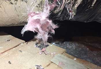 Attic Insulation Replacement in Millbrae | Attic Cleaning San Bruno