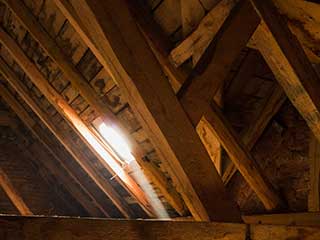Cleaning Services | Attic Cleaning San Bruno, CA Cleaning Services | Attic Cleaning San Bruno, CA