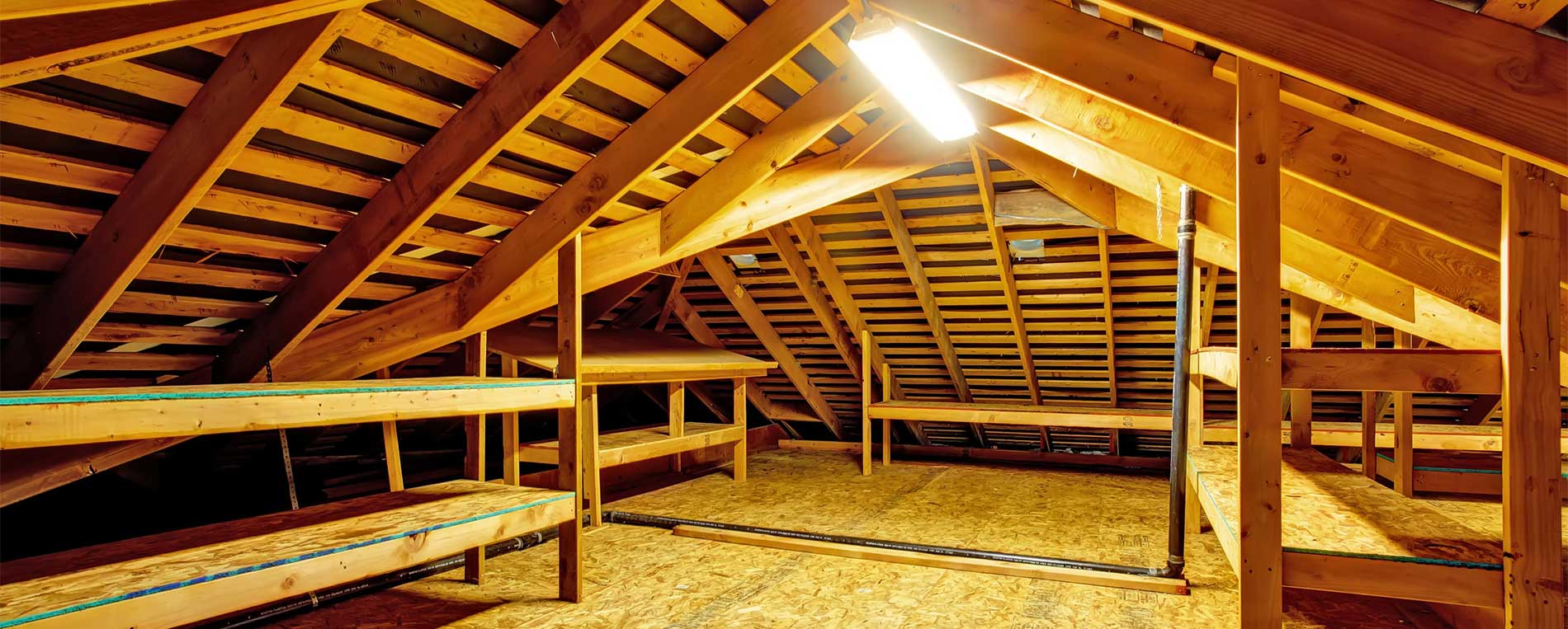 Attic Cleaning