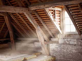 Hire A Professional to Clean Your Attic | Attic Cleaning San Bruno, CA Hire A Professional to Clean Your Attic | Attic Cleaning San Bruno, CA